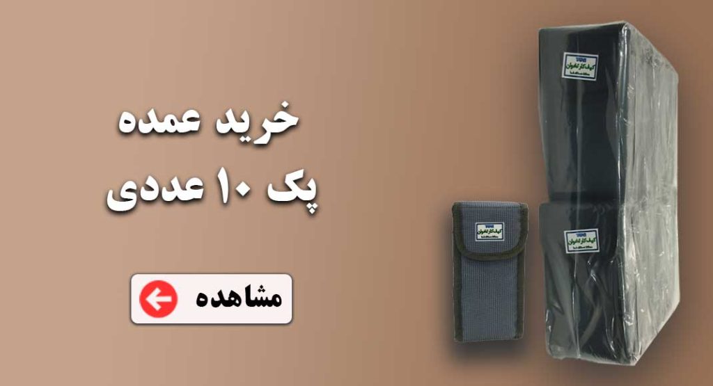 پک 10 عددی کیف کارتخوان